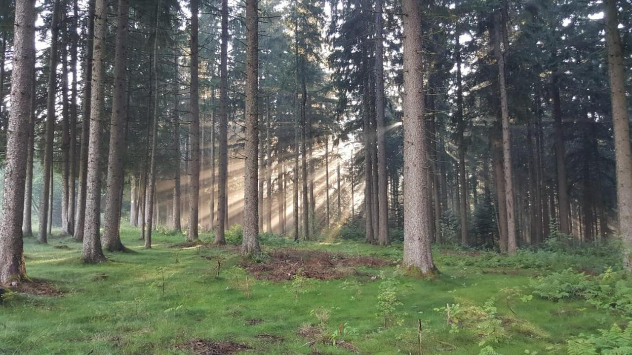 Schwarzwald Geht Immer Fewo 60 Qm Mit Grossem Suedbalkon, Wlan Und Magenta Tv Schönwalde Εξωτερικό φωτογραφία